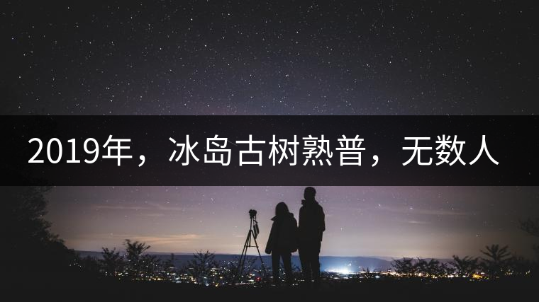 2019年，冰島古樹熟普，無數(shù)人在尋找