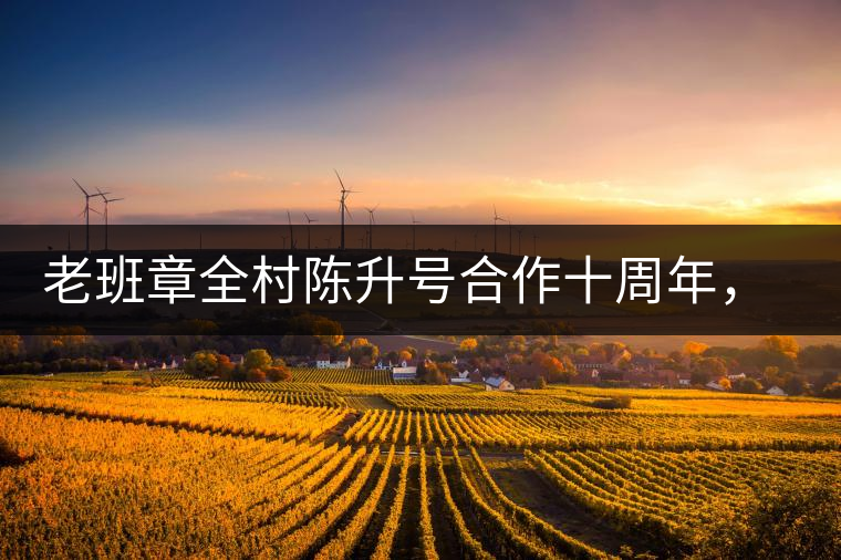 老班章全村陳升號合作十周年，贈送千兩百家茶