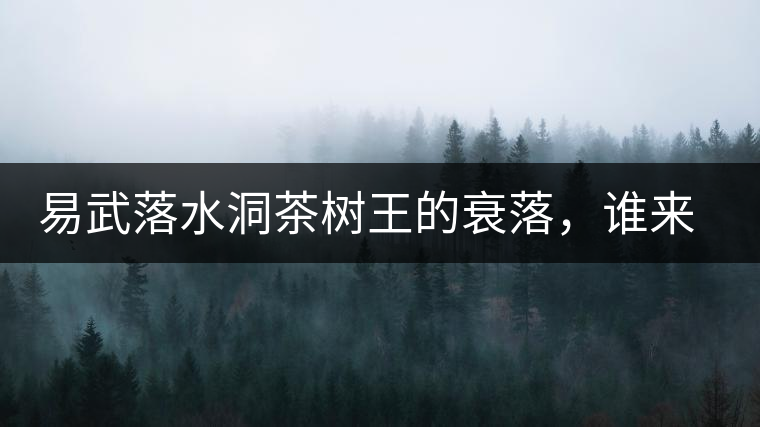 易武落水洞茶樹王的衰落，誰來關(guān)注古樹茶？