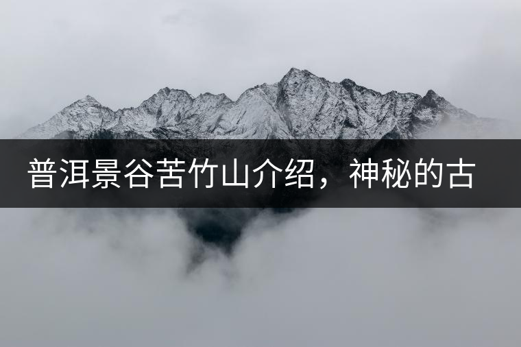 普洱景谷苦竹山介紹，神秘的古樹普洱茶原產(chǎn)地