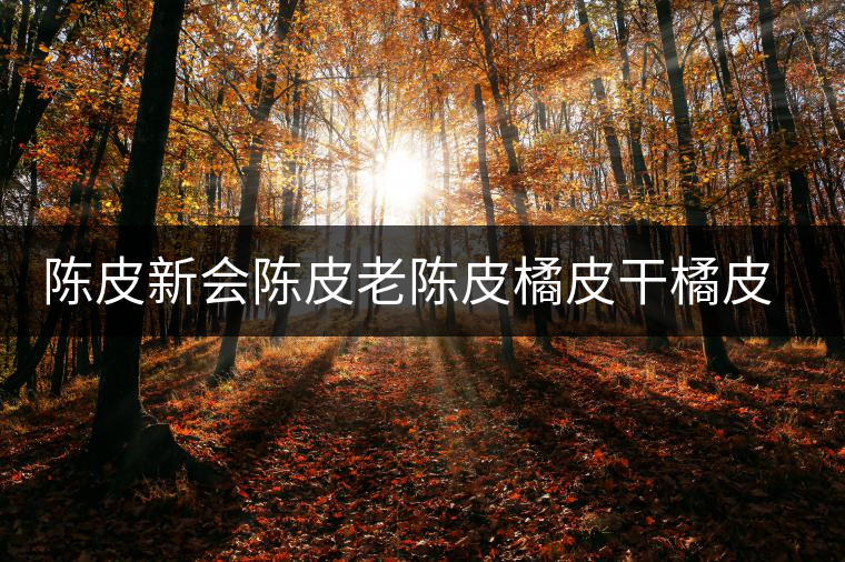 陳皮新會(huì)陳皮老陳皮橘皮干橘皮薏米茶非特級(jí)罐裝可配普洱白茶黃芪