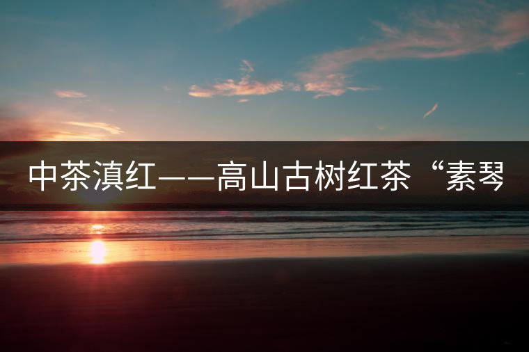中茶滇紅——高山古樹(shù)紅茶“素琴紅” 中茶滇紅——高山古樹(shù)紅茶“素琴紅”