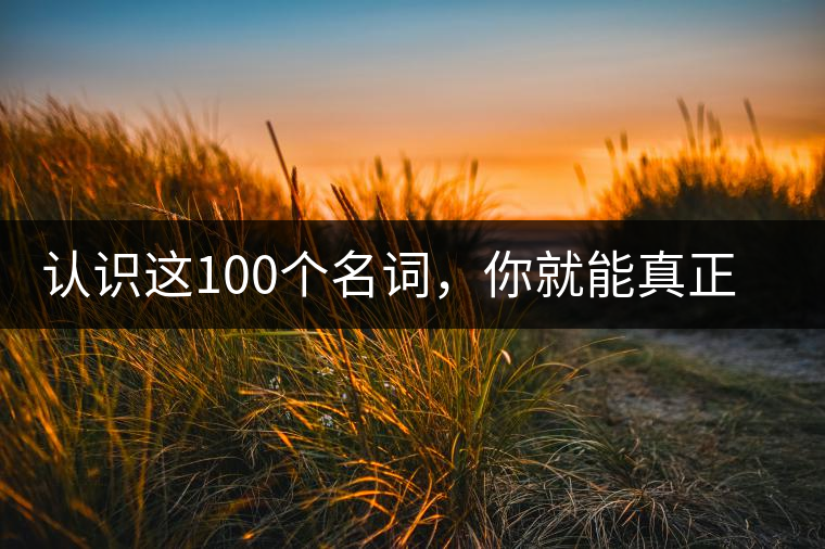 認(rèn)識(shí)這100個(gè)名詞，你就能真正了解普洱茶？
