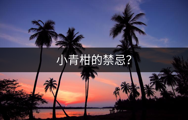 小青柑的禁忌？