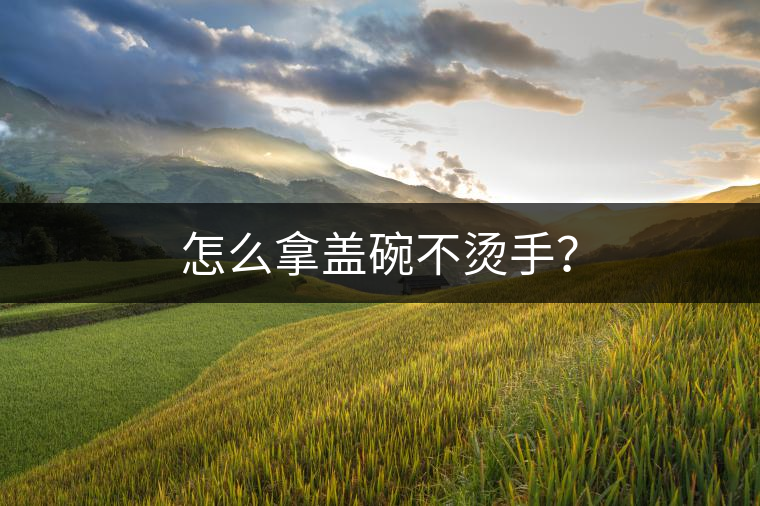 怎么拿蓋碗不燙手？