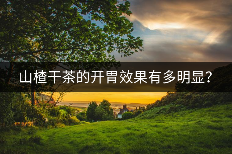 山楂干茶的開(kāi)胃效果有多明顯? 山楂干茶的開(kāi)胃效果有多明顯?