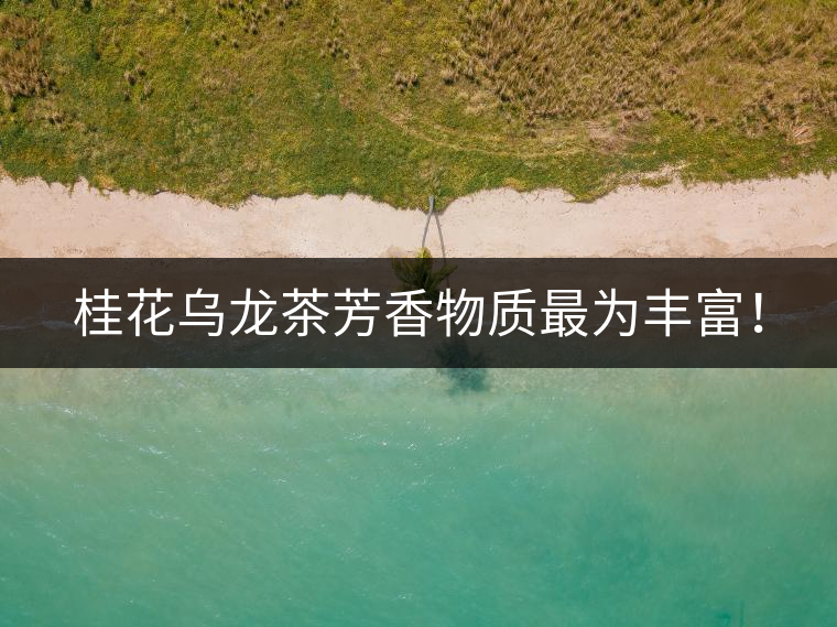 桂花烏龍茶芳香物質(zhì)最為豐富！