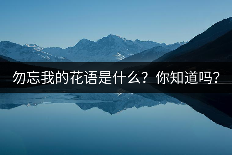 勿忘我的花語是什么？你知道嗎？