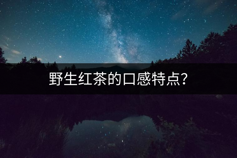 野生紅茶的口感特點？