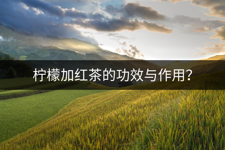 檸檬加紅茶的功效與作用？