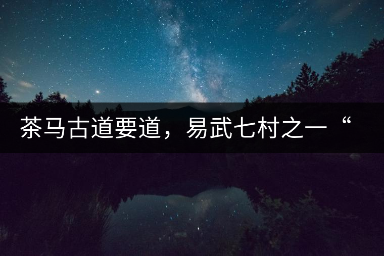 茶馬古道要道，易武七村之一“張家灣”古茶園