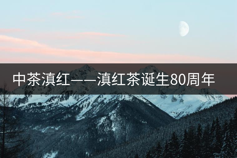 中茶滇紅——滇紅茶誕生80周年紀念 中茶滇紅——滇紅茶誕生80周年紀念