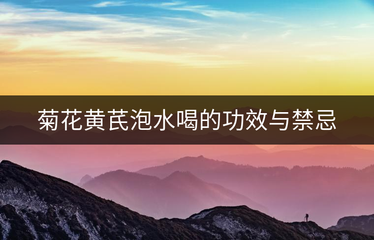 菊花黃芪泡水喝的功效與禁忌