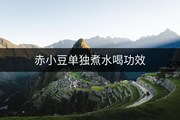 赤小豆單獨(dú)煮水喝功效