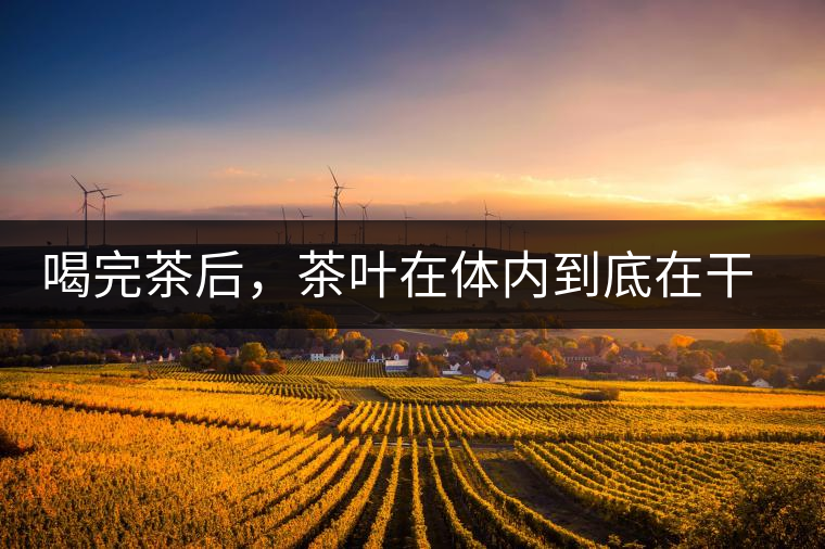 喝完茶后，茶葉在體內到底在干嘛，游走的茶水