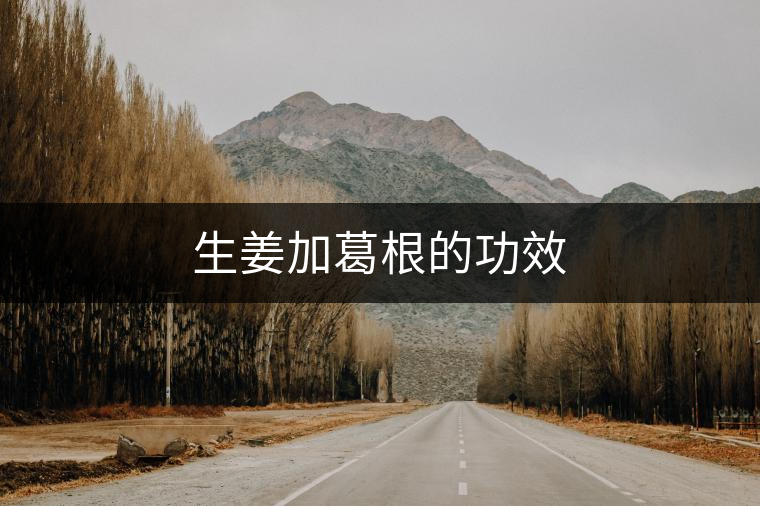 生姜加葛根的功效