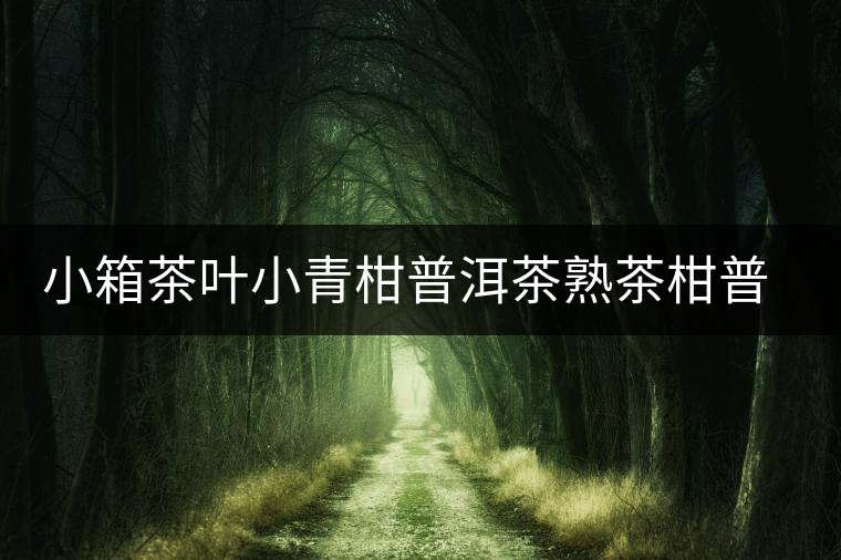 小箱茶葉小青柑普洱茶熟茶柑普茶新會(huì)陳皮橘普茶柑普茶禮盒送禮