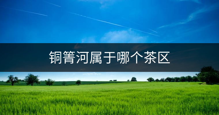 銅箐河屬于哪個茶區(qū) 銅箐河屬于哪個茶區(qū)