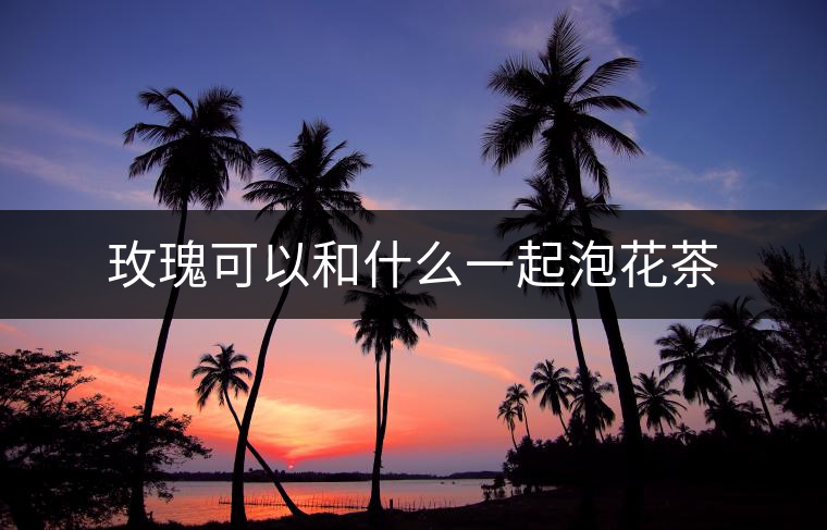 玫瑰可以和什么一起泡花茶 玫瑰可以和什么一起泡花茶