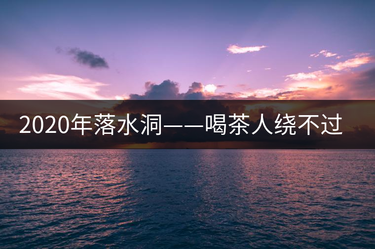 2020年落水洞——喝茶人繞不過的溫柔鄉(xiāng)！-易武中聘號