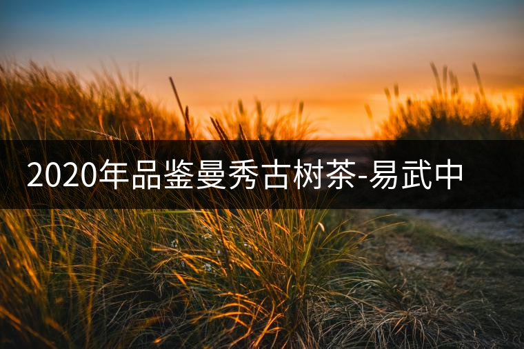 2020年品鑒曼秀古樹茶-易武中聘號(hào) 2020年品鑒曼秀古樹茶-易武中聘號(hào)
