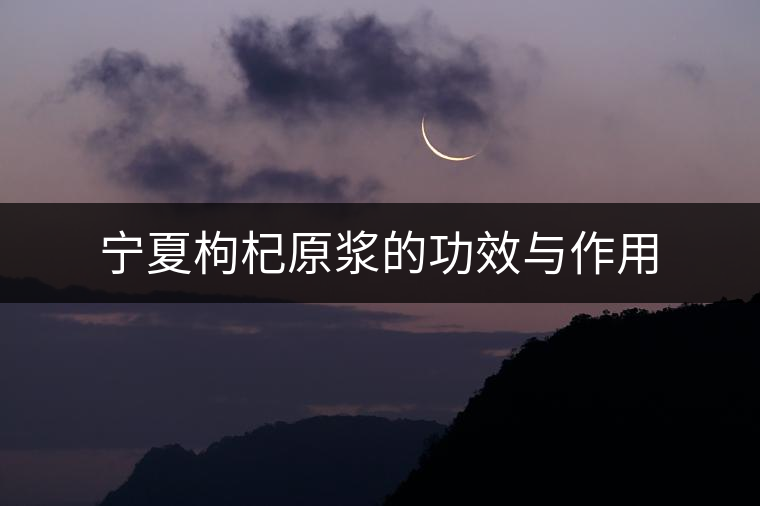 寧夏枸杞原漿的功效與作用 寧夏枸杞原漿的功效與作用