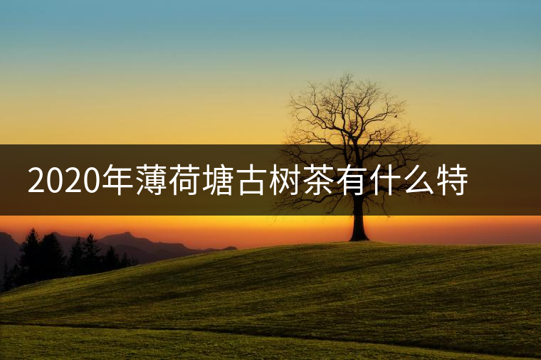 2020年薄荷塘古樹茶有什么特征？薄荷塘的價格及產(chǎn)量如何？-易武中聘號