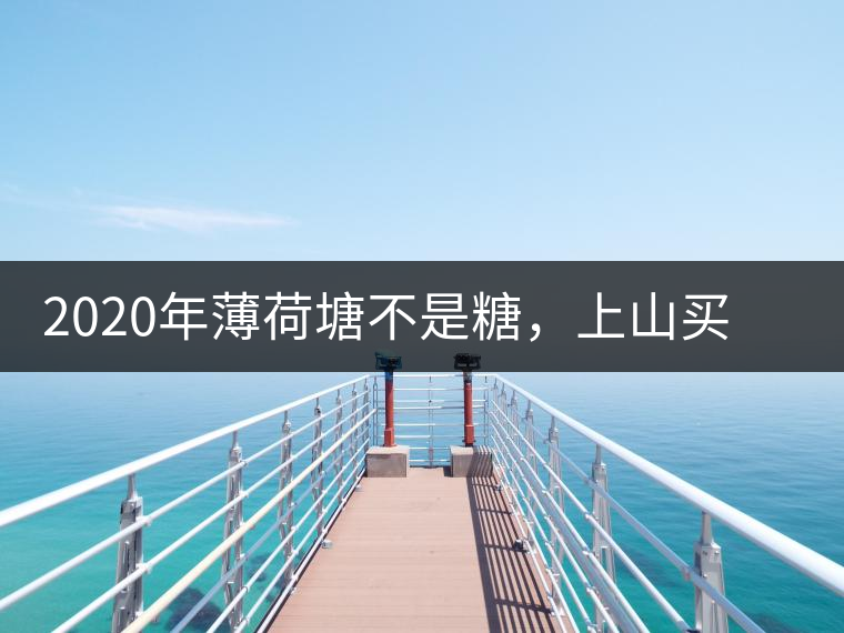 2020年薄荷塘不是糖，上山買(mǎi)茶除了帶鈔票還得搖號(hào)-易武中聘號(hào)