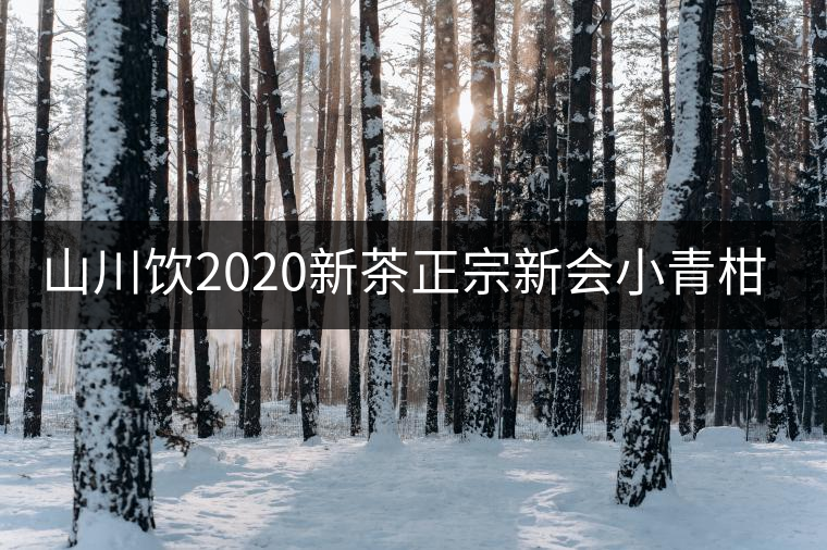 山川飲2020新茶正宗新會小青柑普洱茶陳皮熟茶柑普橘茶葉100g送禮 山川飲2020新茶正宗新會小青柑普洱茶陳皮熟茶柑普橘茶葉100g送禮