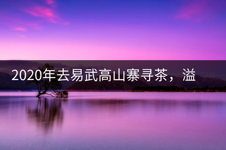 2020年去易武高山寨尋茶，溢滿茶香的古樹(shù)寨子-易武中聘號(hào)