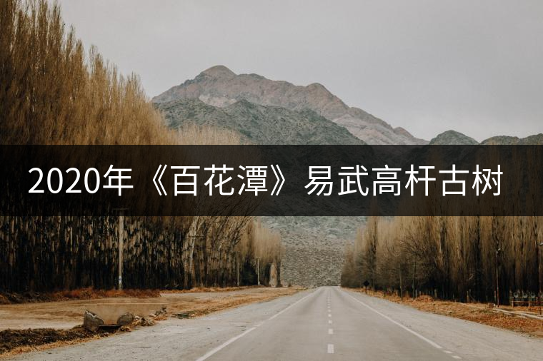 2020年《百花潭》易武高桿古樹(shù)茶中貴族-易武中聘號(hào) 2020年《百花潭》易武高桿古樹(shù)茶中貴族-易武中聘號(hào)