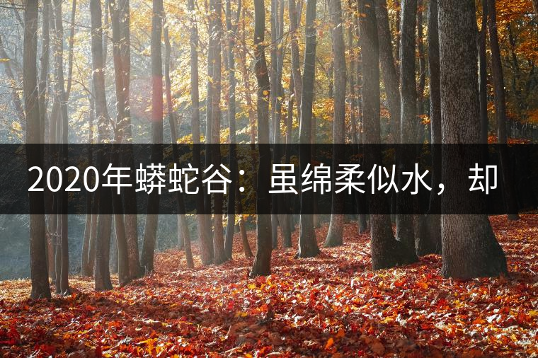 2020年蟒蛇谷：雖綿柔似水，卻氣場十足-易武中聘號