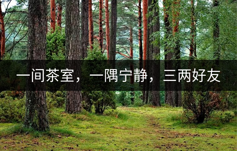 一間茶室，一隅寧靜，三兩好友