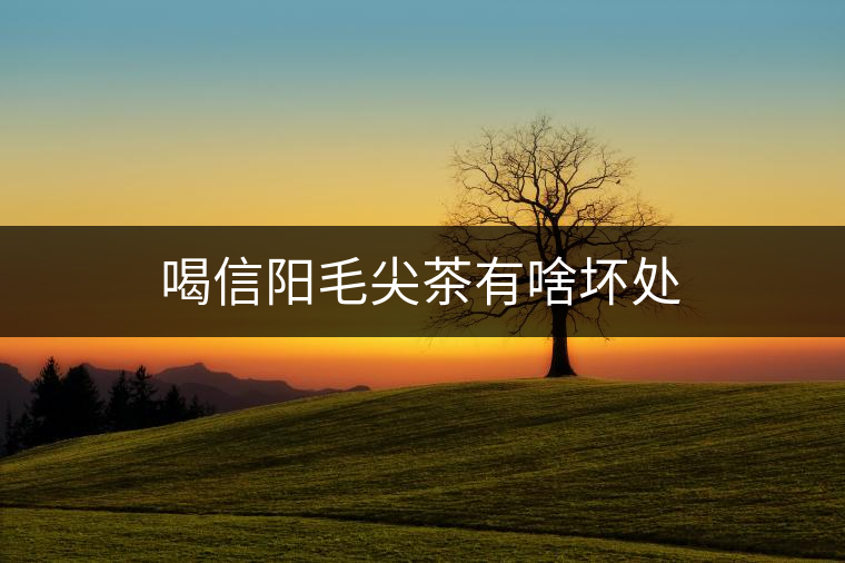 喝信陽(yáng)毛尖茶有啥壞處 喝信陽(yáng)毛尖茶有啥壞處