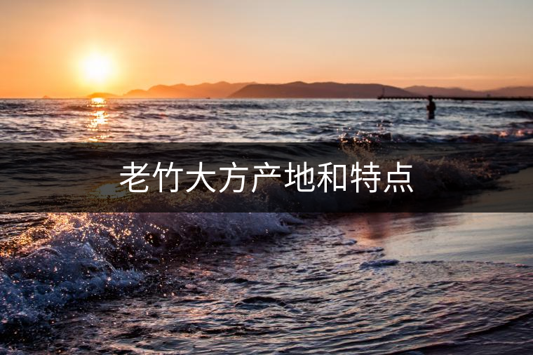 老竹大方產(chǎn)地和特點(diǎn)
