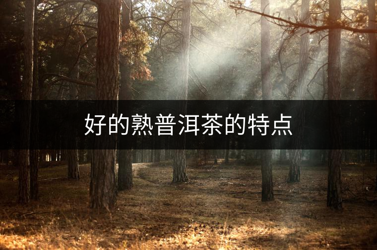 好的熟普洱茶的特點(diǎn) 好的熟普洱茶的特點(diǎn)