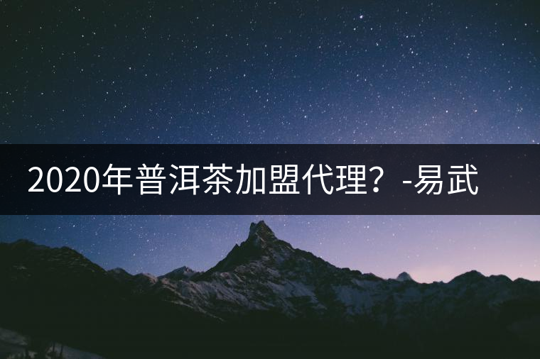 2020年普洱茶加盟代理？-易武中聘號(hào)