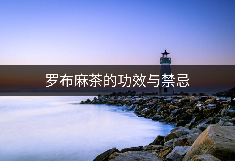 羅布麻茶的功效與禁忌 羅布麻茶的功效與禁忌