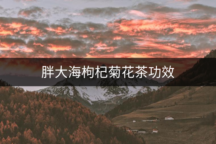 胖大海枸杞菊花茶功效 胖大海枸杞菊花茶功效