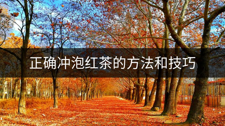 正確沖泡紅茶的方法和技巧 正確沖泡紅茶的方法和技巧