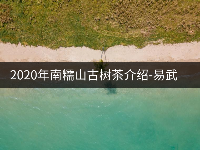 2020年南糯山古樹茶介紹-易武中聘號(hào) 2020年南糯山古樹茶介紹-易武中聘號(hào)