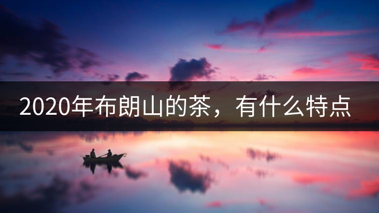 2020年布朗山的茶，有什么特點(diǎn)？-易武中聘號(hào)