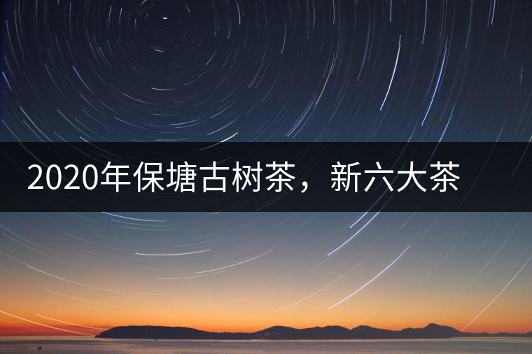 2020年保塘古樹茶，新六大茶山之勐宋茶佼佼者-易武中聘號