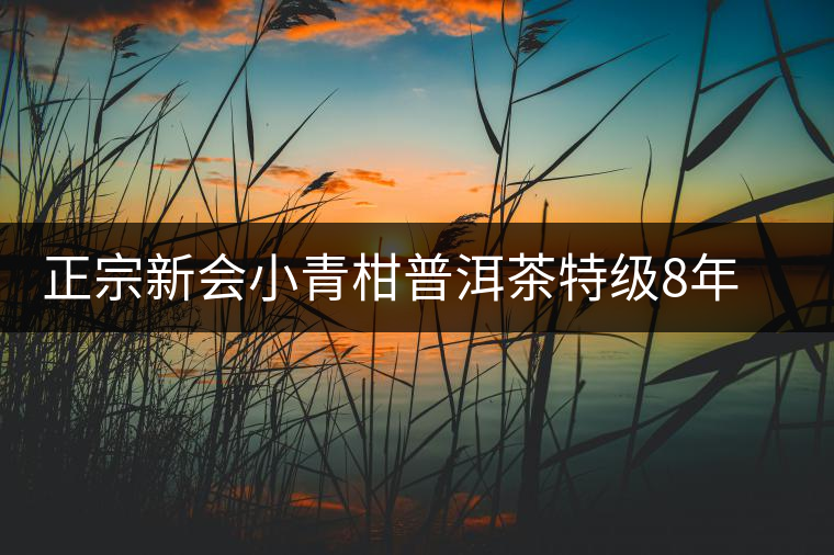 正宗新會(huì)小青柑普洱茶特級(jí)8年宮廷熟茶普橘普高檔禮盒裝內(nèi)含茶具 正宗新會(huì)小青柑普洱茶特級(jí)8年宮廷熟茶普橘普高檔禮盒裝內(nèi)含茶具
