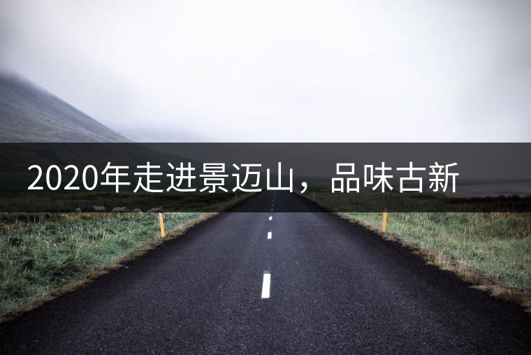 2020年走進(jìn)景邁山，品味古新六大茶山古樹茶之韻-易武中聘號(hào)