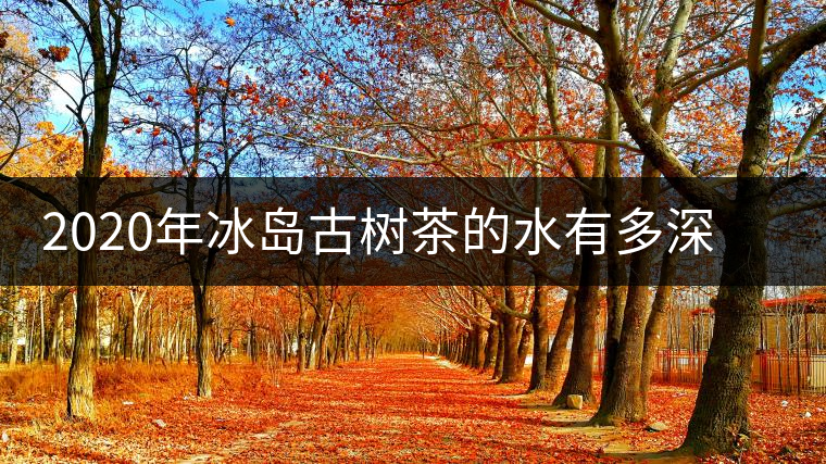 2020年冰島古樹(shù)茶的水有多深？別被蒙在鼓里啦-易武中聘號(hào)