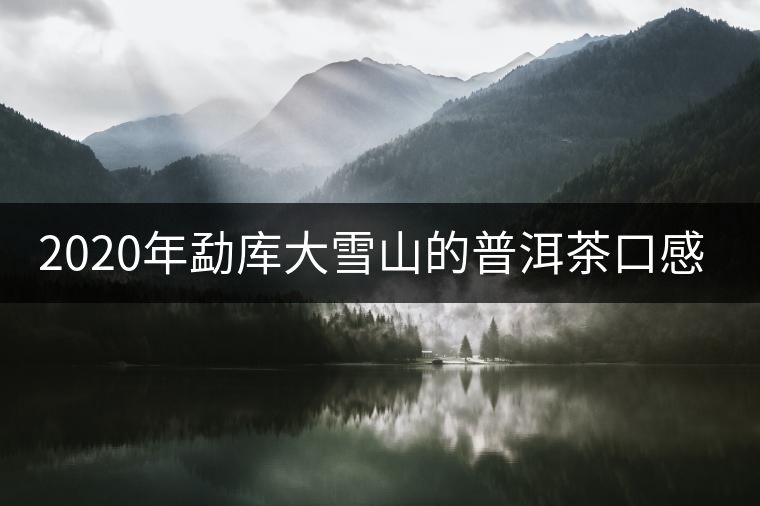 2020年勐庫(kù)大雪山的普洱茶口感特點(diǎn)-易武中聘號(hào)