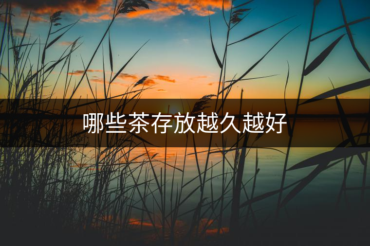哪些茶存放越久越好