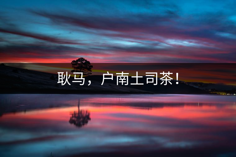耿馬，戶南土司茶！