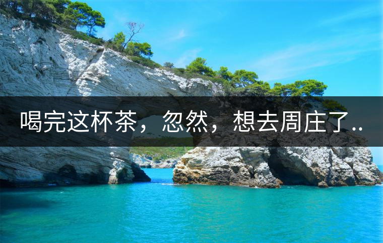 喝完這杯茶，忽然，想去周莊了...